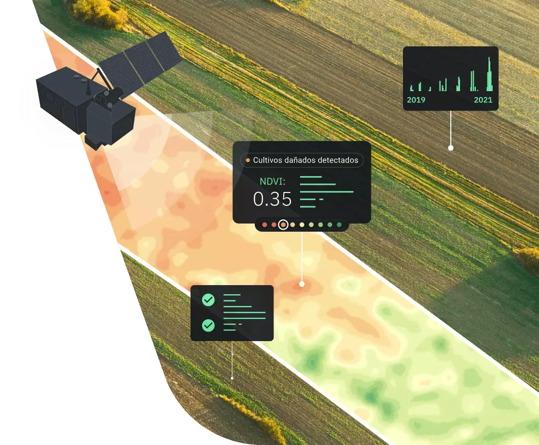 cultivos dañados detectados en un campo