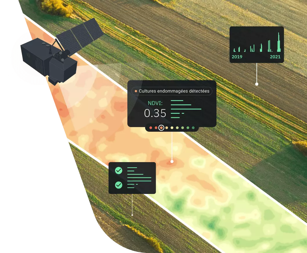 détection des cultures endommagées sur un champ