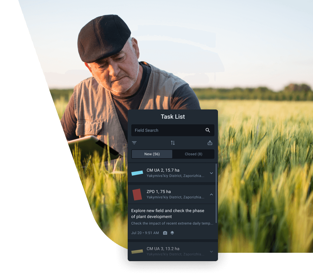 scout in the crop field