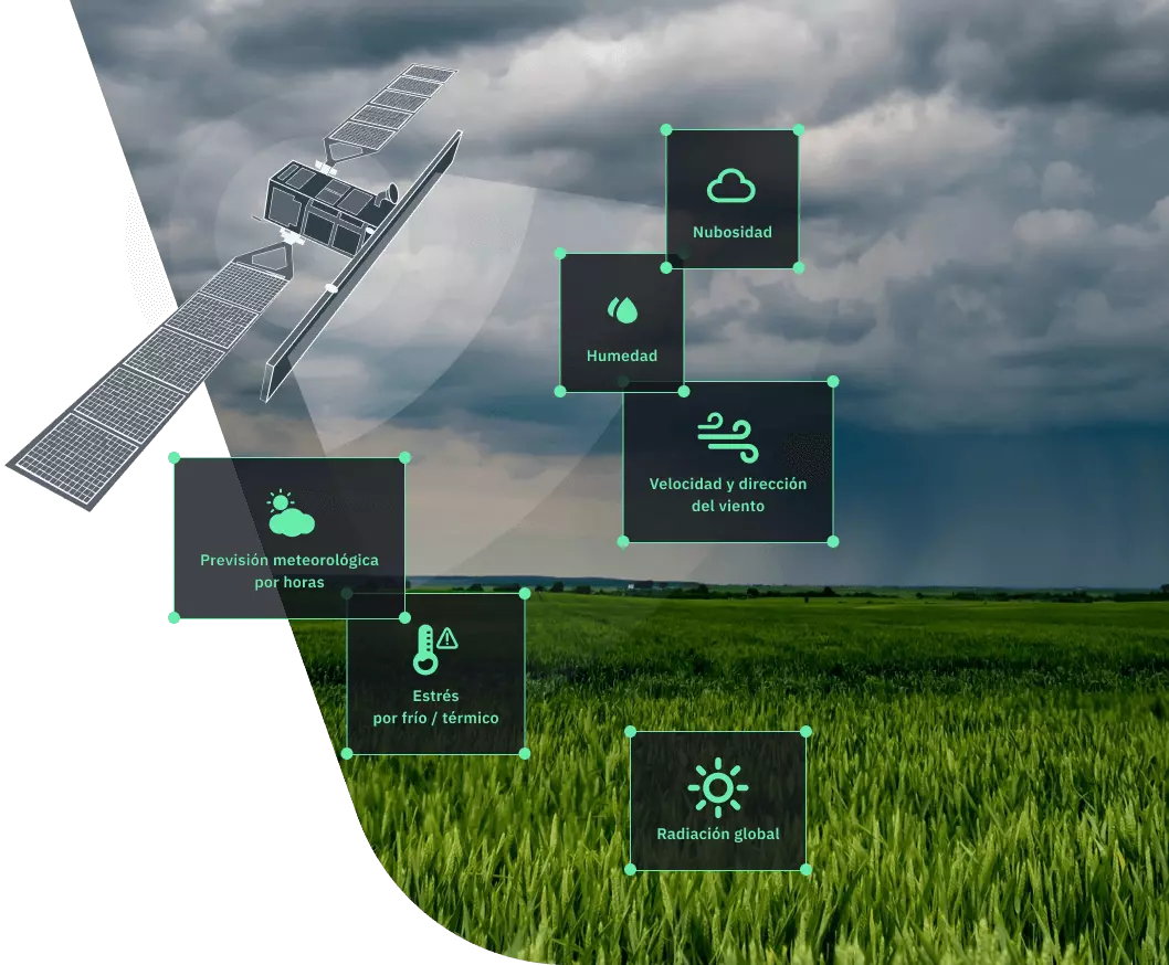 datos meteorológicos para la agricultura en EOSDA Crop Monitoring