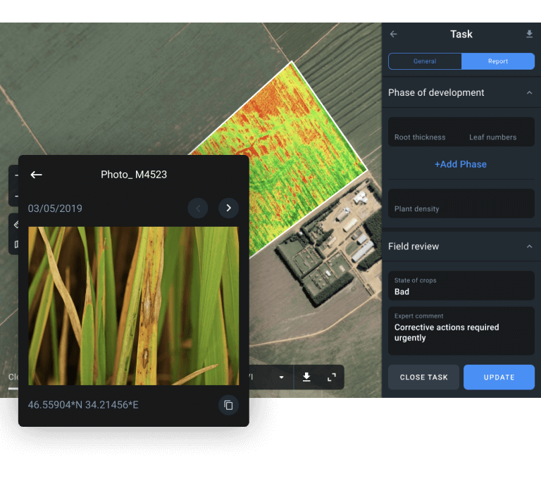 field observation report