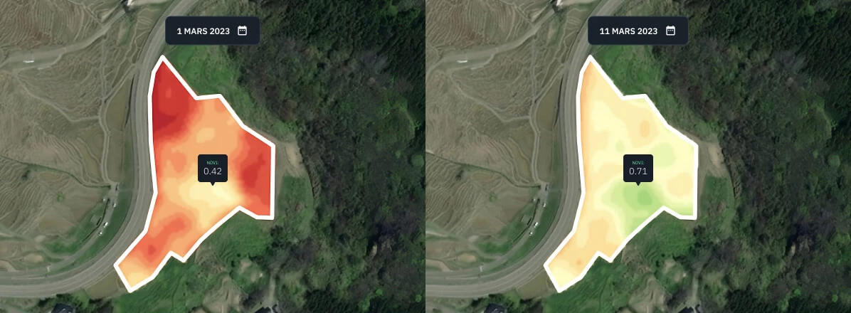 NDVI pour une rizière