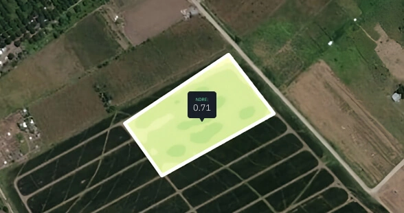 NDRE of a pineapple field