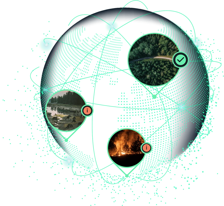 sustainability projects to fight global issues