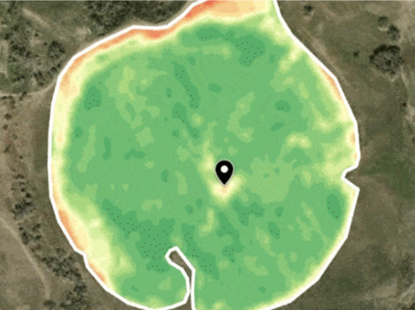 field vegetation on August 24