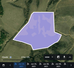 field's NDMI values in 2021